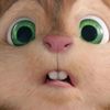 munkcip
