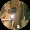 jfplobo43
