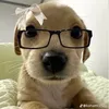 muonduocchill2