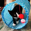 egon.thecat