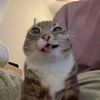 azzkkaaa6