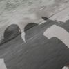 kkaiko_022