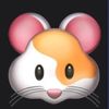 🐹이다🐹