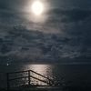 suppi_235