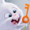 dinhkhoa....ak