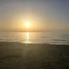 icaracara