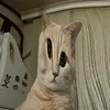 heyyymerri
