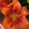 melina_0825