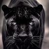tonni_oldschool
