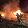 55infameous