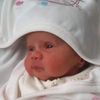 ahmeddiab4368