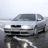skoda31rus