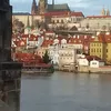 masyameow19
