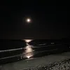 simo___0212