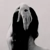 zeyyphoria.333