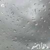 abeer_492