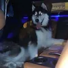 .yusuuu