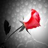 nadine855