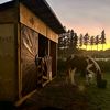 nzjohnnz