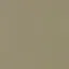 sngchanni