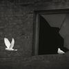 mentality_248