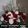 yolandayola09