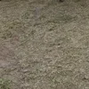melendi_00