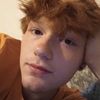 ginger_roadkill