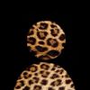 jayleigh.l3