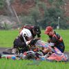dhenbagir21