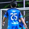 fz_al