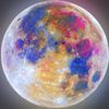 lunar_kitten5628