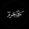 ahmadaalaraby