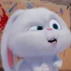 yourkatacenix
