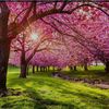 adeebjan32