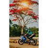 dxhabibhossain
