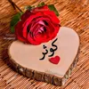 pasha.sham