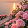 amjad.t57