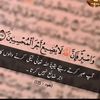 zainabfatimao0