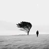 gonesomeone