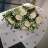 relebogilelebo24