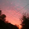 311_andrey_311