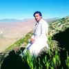 zubairtanha49511