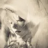 mariasa_lo0