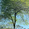 kuimi_25