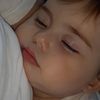 zozaa.adly