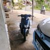 robell135