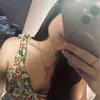fakejordaom
