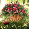 munirahmed9813
