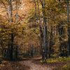 letcweze
